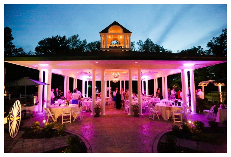 Heron Hill Winery Weddng Keuka Lake Wedding Photography Fingerlakes Wedding Hammondsport NY Wedding Photographer Pink Bridesmaid Dress