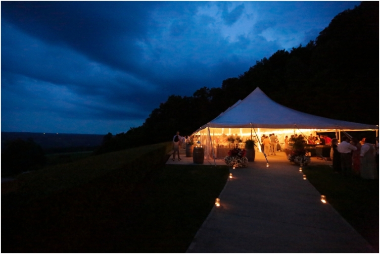 Heron Hill Winery Keuka Lake New York Wedding_0084.jpg
