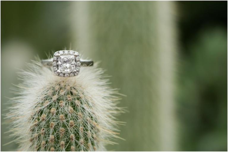 Cleveland Rockefellar Greenhouse Engagement