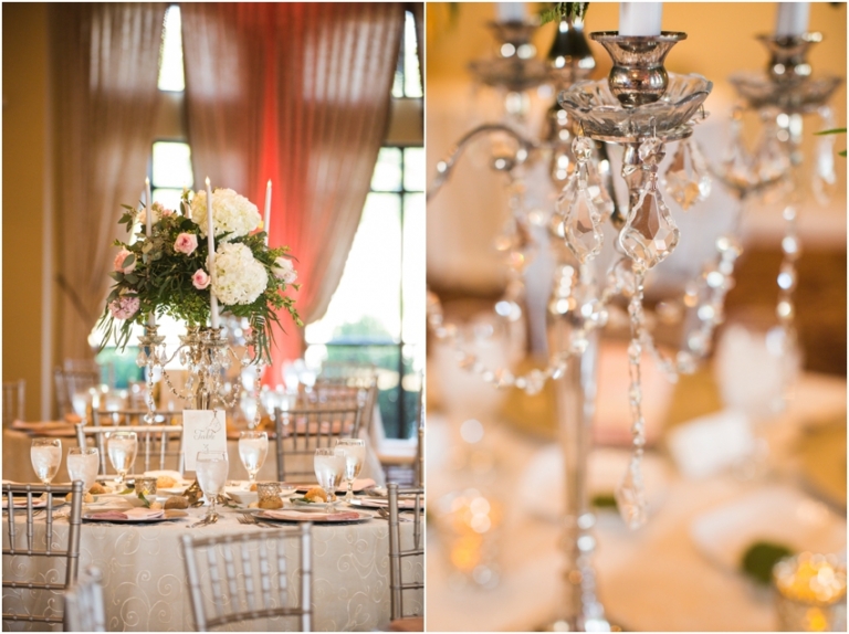 St Stephens Roman Catholic Church Cleveland Blue Heron Medina