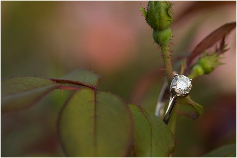 hudson springs engagement photos_0844.jpg