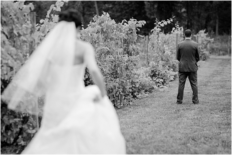 Waters Edge Vineyard Wedding Photographer Louisville Ohio Wedding Photographer_1043.jpg