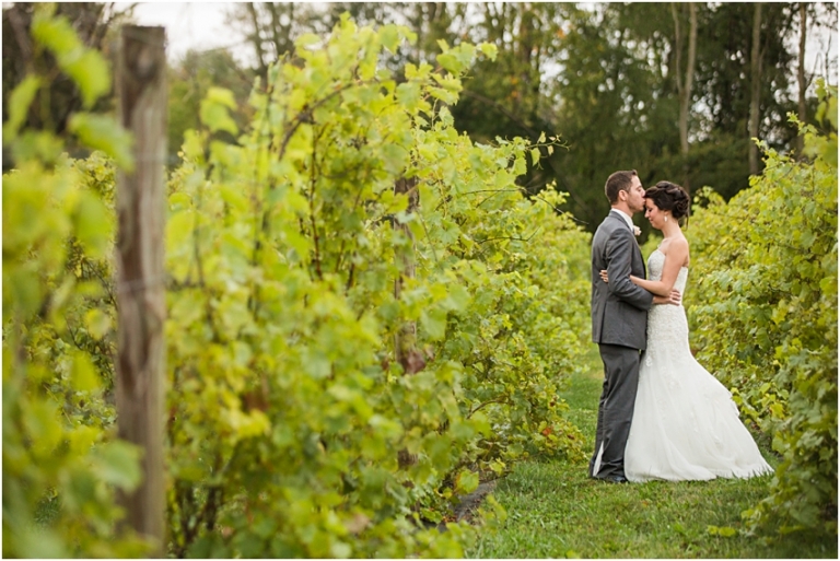 Waters Edge Vineyard Wedding Photographer Louisville Ohio Wedding Photographer_1053.jpg