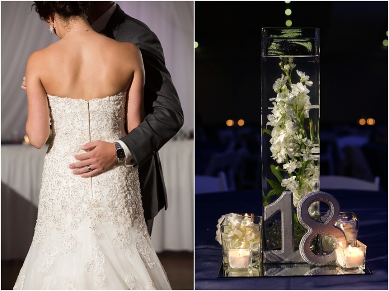 Waters Edge Vineyard Wedding Photographer Louisville Ohio Wedding Photographer_1056.jpg