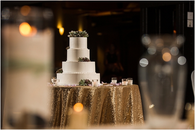 Windows on the River Wedding Downtown Cleveland Wedding